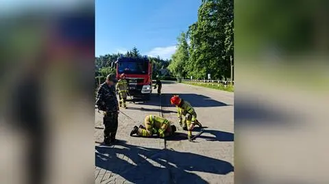Kaczuszki utknęły w studzience w Ratajach. "Każde małe zwierzę jest warte dużego zachodu"