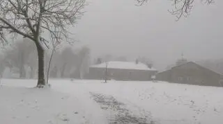 Sypnęło śniegiem, na drogi wyjechały odśnieżarki