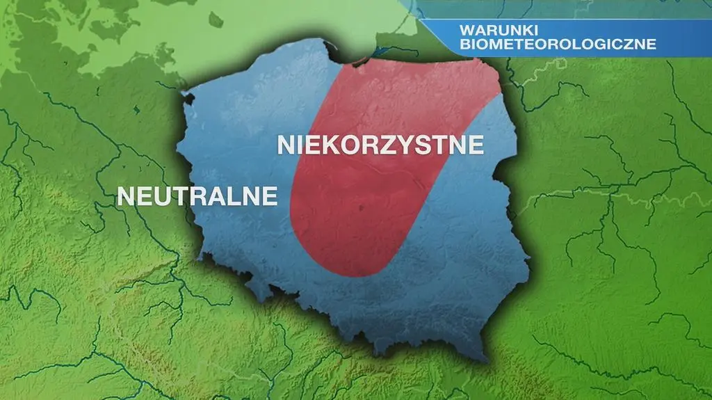 Klatka kluczowa-102304