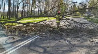 Uszkodzone dachy, powalone drzewa. Ponad dwa tysiące interwencji