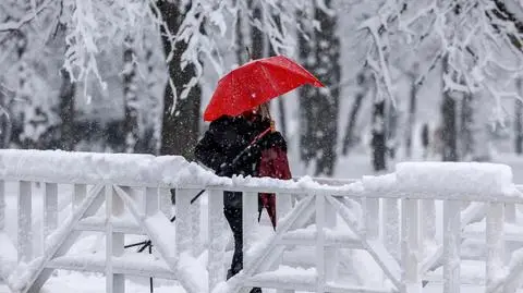 Śnieg, zima, opady, zimno