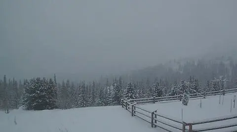 Hala Gąsienicowa - widok na Granaty