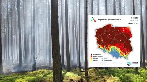 Lepiej zrezygnować z leśnych wycieczek