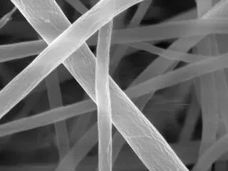 Najcieńsze spaghetti świata pod mikroskopem