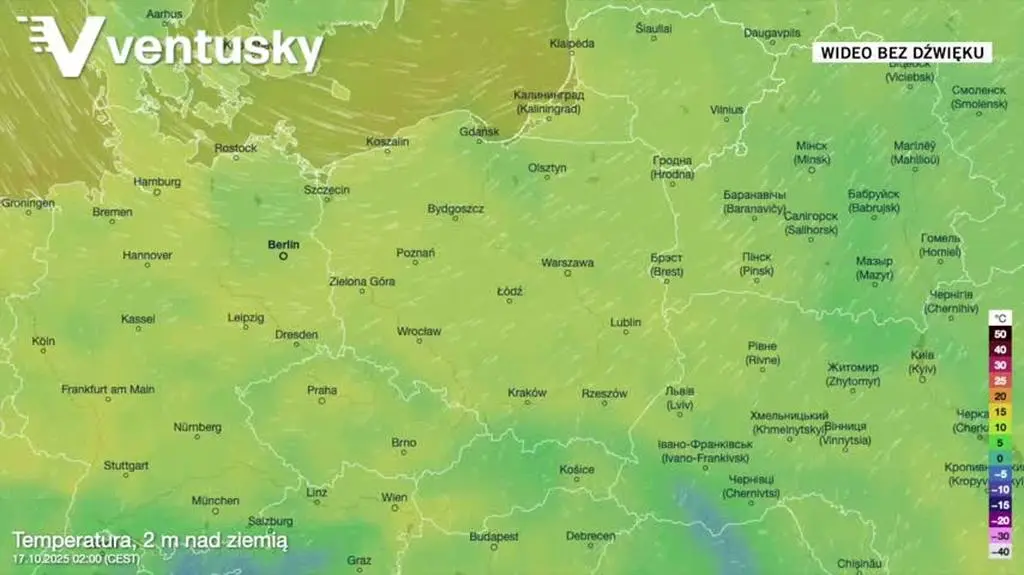 Prognozowana temperatura w kolejnych dniach