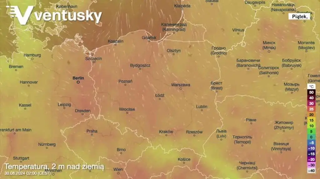 Prognozowana temperatura w kolejnych dniach