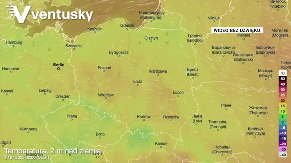 Prognozowana temperatura w kolejnych dniach