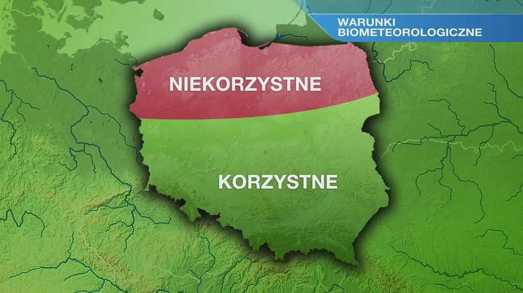 Klatka kluczowa-21751