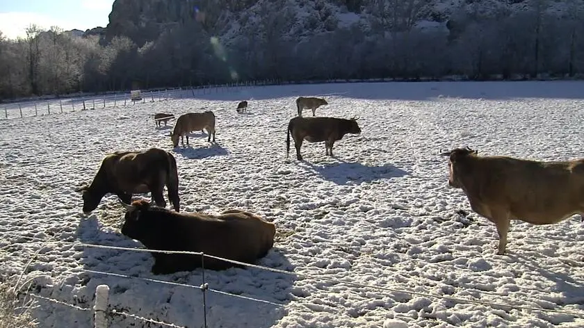Śnieg dotarł do Hiszpanii. Jeszcze go dosypie