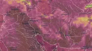 Ponad 50 stopni. Władze ograniczają dostęp do wody
