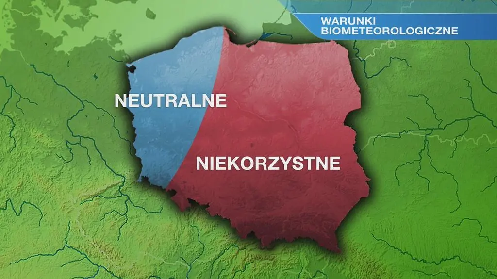 Klatka kluczowa-64187