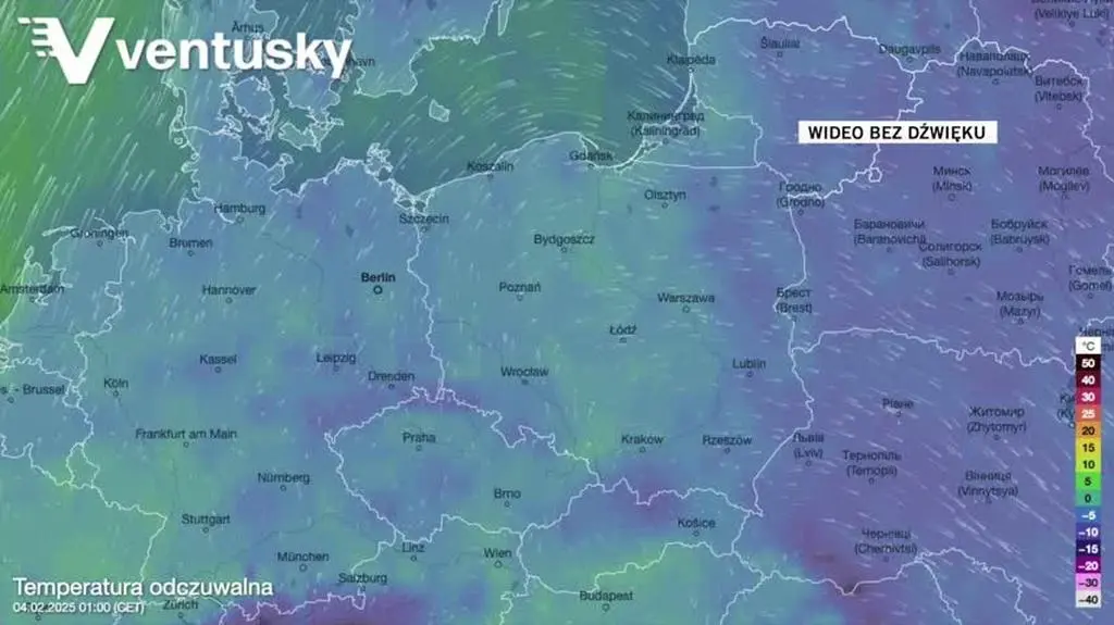 Prognozowana temperatura w kolejnych dniach