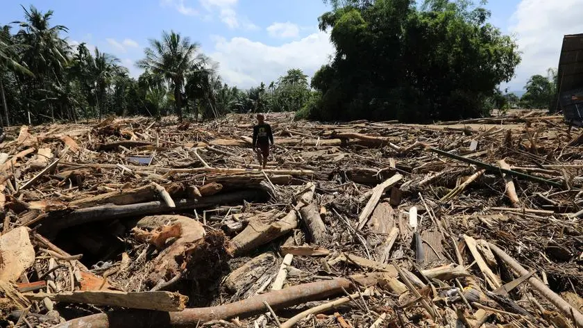 Powódź zdziesiątkowała populację rzadkich małp. "Nie widziałem czegoś podobnego przez 20 lat"