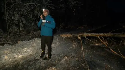 Drzewo przewróciło się przed samochodem TVN24