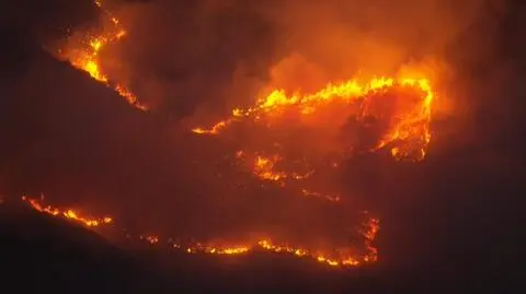 Pożar nieopodal Jurupa Valley w Kalifornii objął ponad 160 hektarów