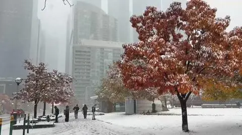 Śnieg w Toronto