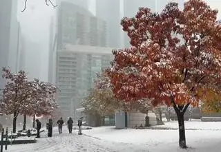 Sypnęło śniegiem. "To dobry znak"