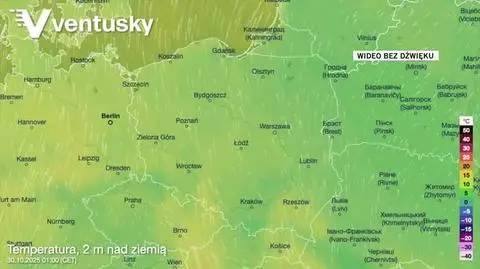 Prognozowana temperatura w kolejnych dniach