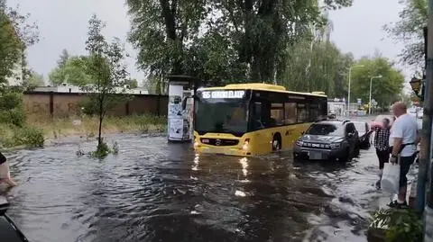 Zalania