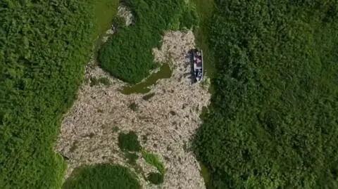 20 ton martwych ryb w rzece. "Przerażający widok"