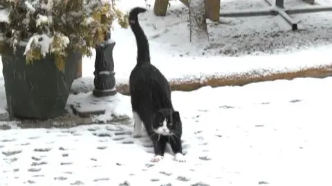 Zimowa aura na Przełęczy Okraj