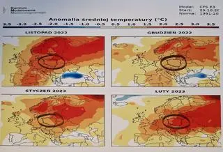 Prognozowana anomalia średniej temperatury w okresie od listopada do lutego