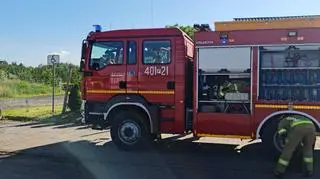 Strażacy pomogli kaczuszkom