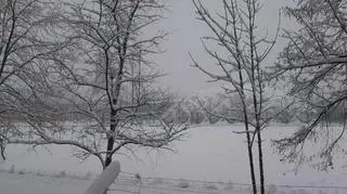 Mielec Śnieg 