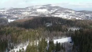 Lasy Nadleśnictwa Wałbrzych - jest pięknie, ale i niebezpiecznie
