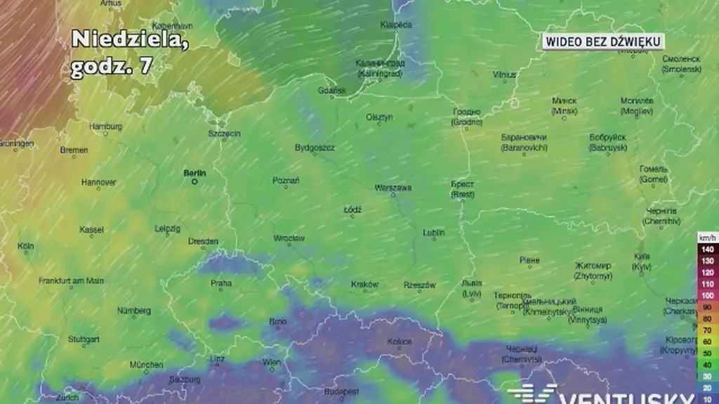 Prognozowane porywy wiatru w najbliższych dniach