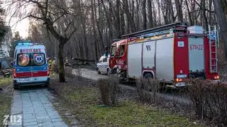 Ułamana gałąź raniła przechodnia w Zabrzu