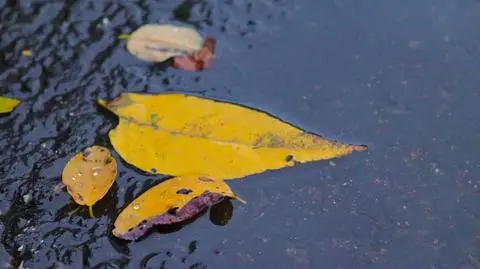 Pogoda na dziś: pochmurno i deszczowo. Miejscami jest szansa na rozpogodzenia