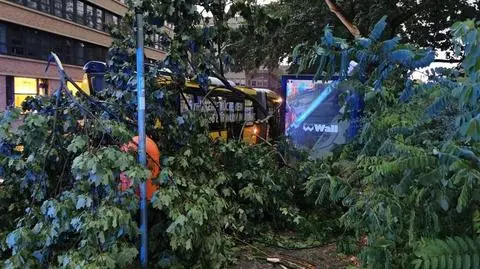 Wiatr łamał drzewa, konary przygniatały samochody. Sześć osób rannych
