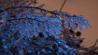 Lód na drogach, silny wiatr. Zachowajmy ostrożność