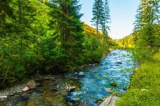 Rzeka, Dolina Chochołowska, Tatry, słonecznie