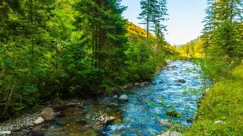 Rzeka, Dolina Chochołowska, Tatry, słonecznie