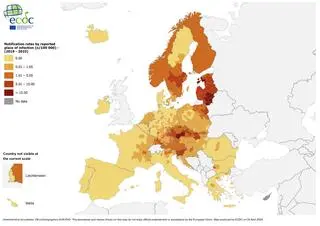 Liczba zgłoszonych przypadków KZM w latach 2019-2023