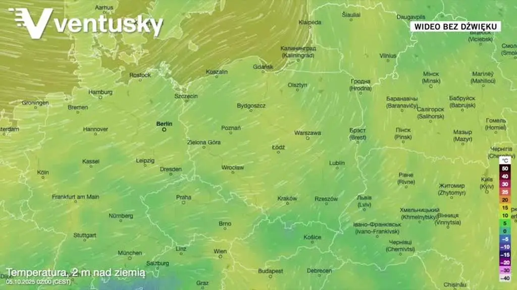 Prognozowana temperatura w kolejnych dniach