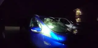Niedźwiedzie wtargnęły do auta na Alasce