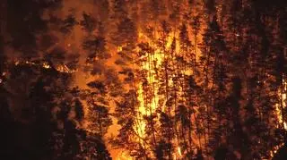 Płomienie zagrażają domom. Nakaz ewakuacji dla setek mieszkańców