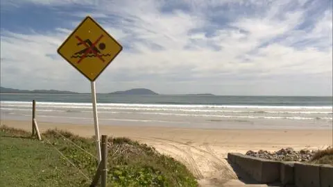 Rekin zaatakował turystów w Australii