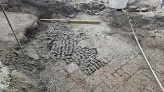 Podłoga częściowo wykonana ze zwierzęcych kości w Alkmaar