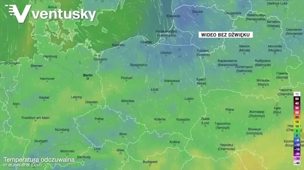 Prognozowana temperatura w kolejnych dniach
