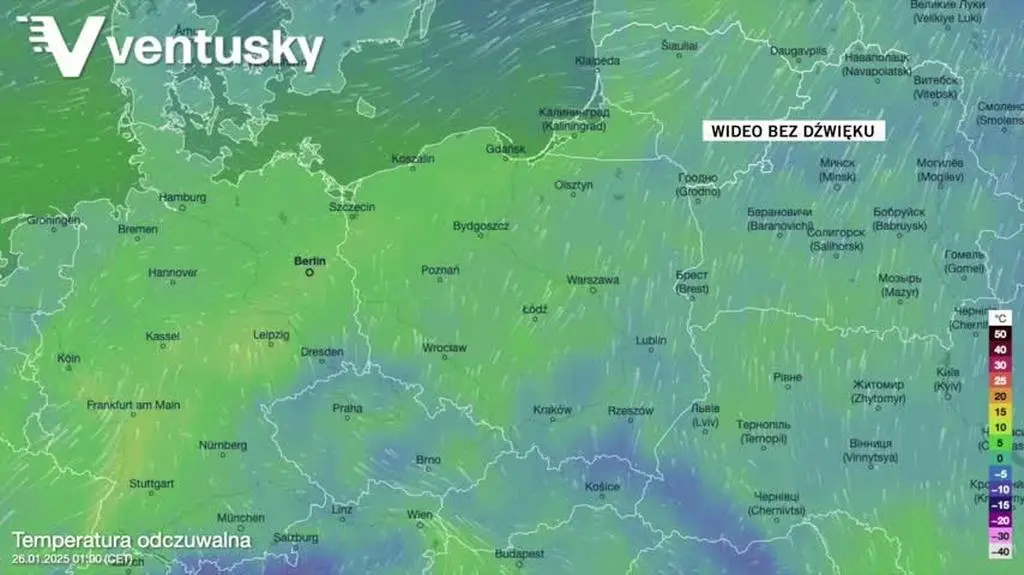 Prognozowana temperatura w kolejnych dniach