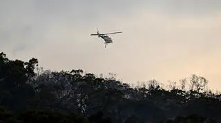 Miejscowość Koolewong w Australii po pożarze