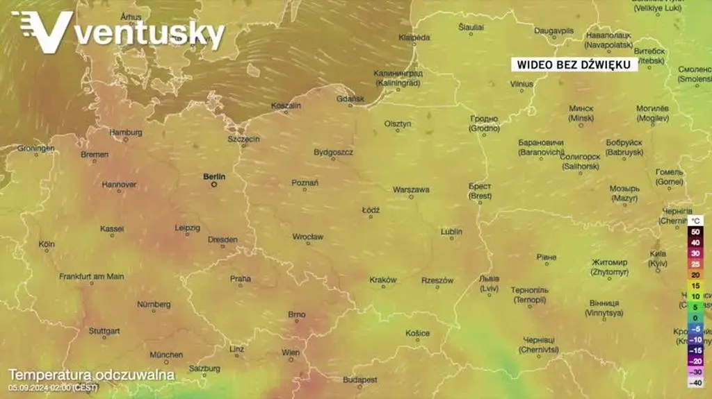 Prognozowana temperatura w kolejnych dniach