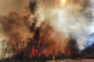 Pożar w prowincji Lugo w Hiszpanii