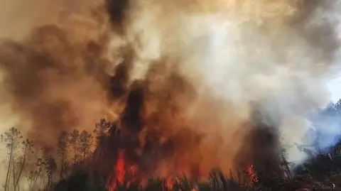 Pożar w prowincji Lugo w Hiszpanii