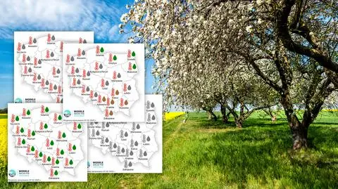 Wiosna może być inna niż zazwyczaj. Mamy prognozę