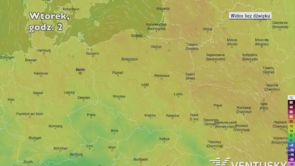 Prognozowana temperatura w następnych dniach (Ventusky